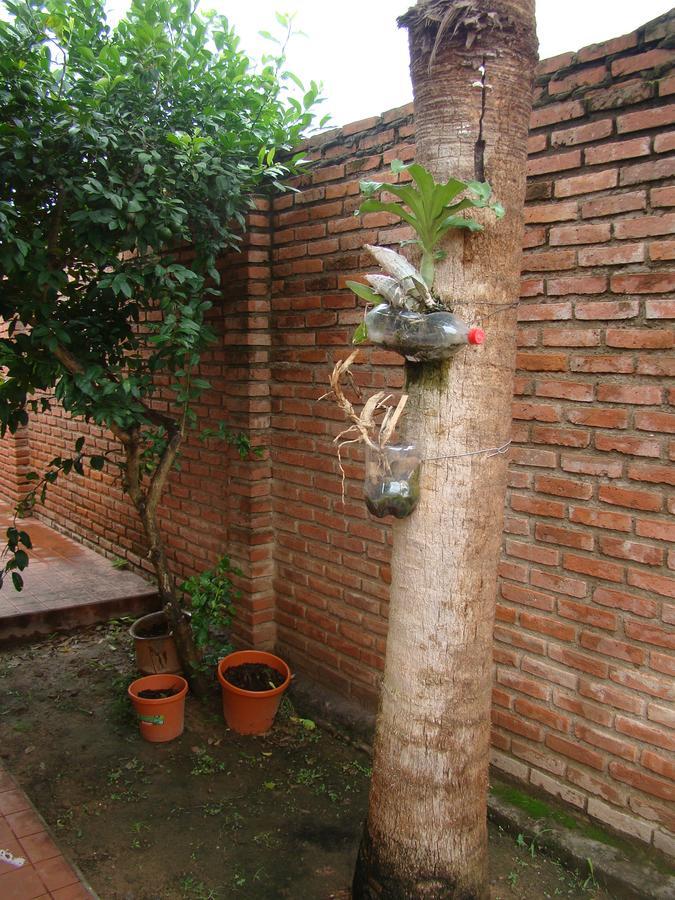 Хостел Sur Backpackers Санта-Крус-де-ла-Сьерра Экстерьер фото